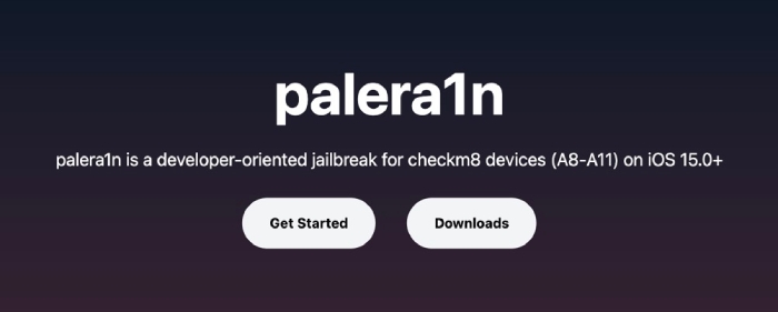 Palera1n ホームページ