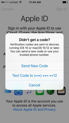 choose Text Code to | Can’t Verify Apple ID on New iPhone/iPad