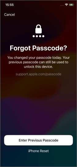 古いパスコードを入力 iOS 17 step 2
