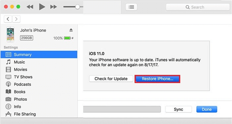 Restore iPhone | Factory Reset iPhone Without Password