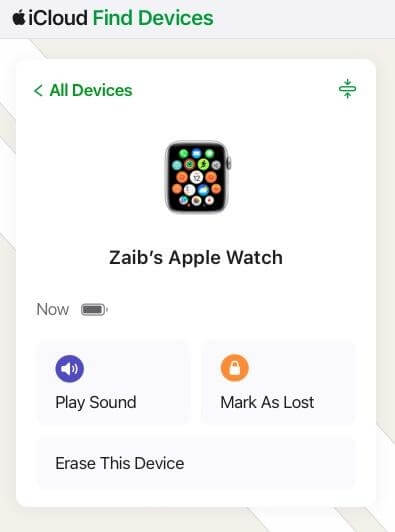 Apple Watch を消去する | iPhone なしで Apple Watch 3 をリセットする パスコードの試行回数が多すぎる