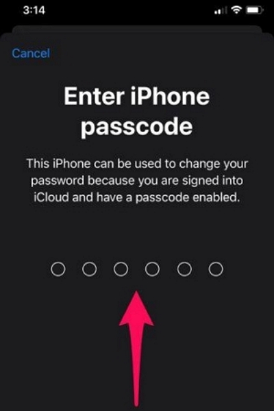 iPhone または iPad のパスコードを入力してください | パスワードなしで iPhone から iCloud を削除する