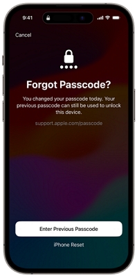 select iPhone Reset | Reset iPhone Passcode without Losing Data