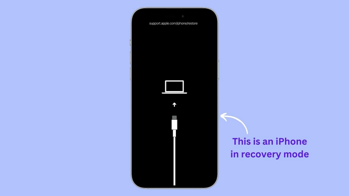 Restore iPhone Through iTunes step 2 | iPhone Disabled for No Reason