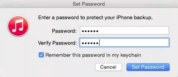 click Set Password | iTunes Could Not Restore the iPhone Because the Password Was Incorrect