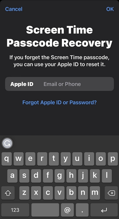 Apple IDを入力 | iPhoneのアプリにパスワードを設定する