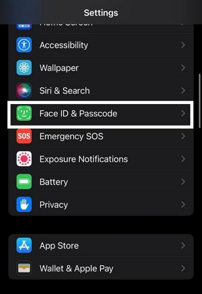 enter your password | Unlock iPhone By Using Apple Watch