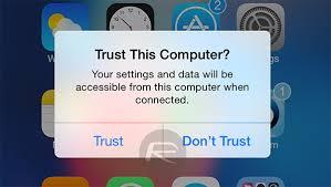 Tap Trust on iPhone | Unlock iPad Without Password