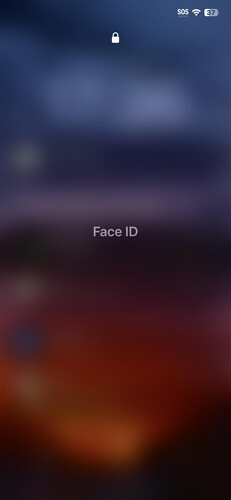 Use Passcode step 1 | unlock Face ID while sleeping