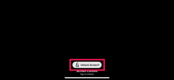 Unlock Screen in Netflix on iPhone