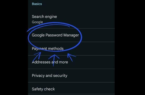 View and Manage Saved Passwords